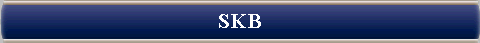  SKB 